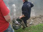Forellendag / Bbq 12 Oktober 2014